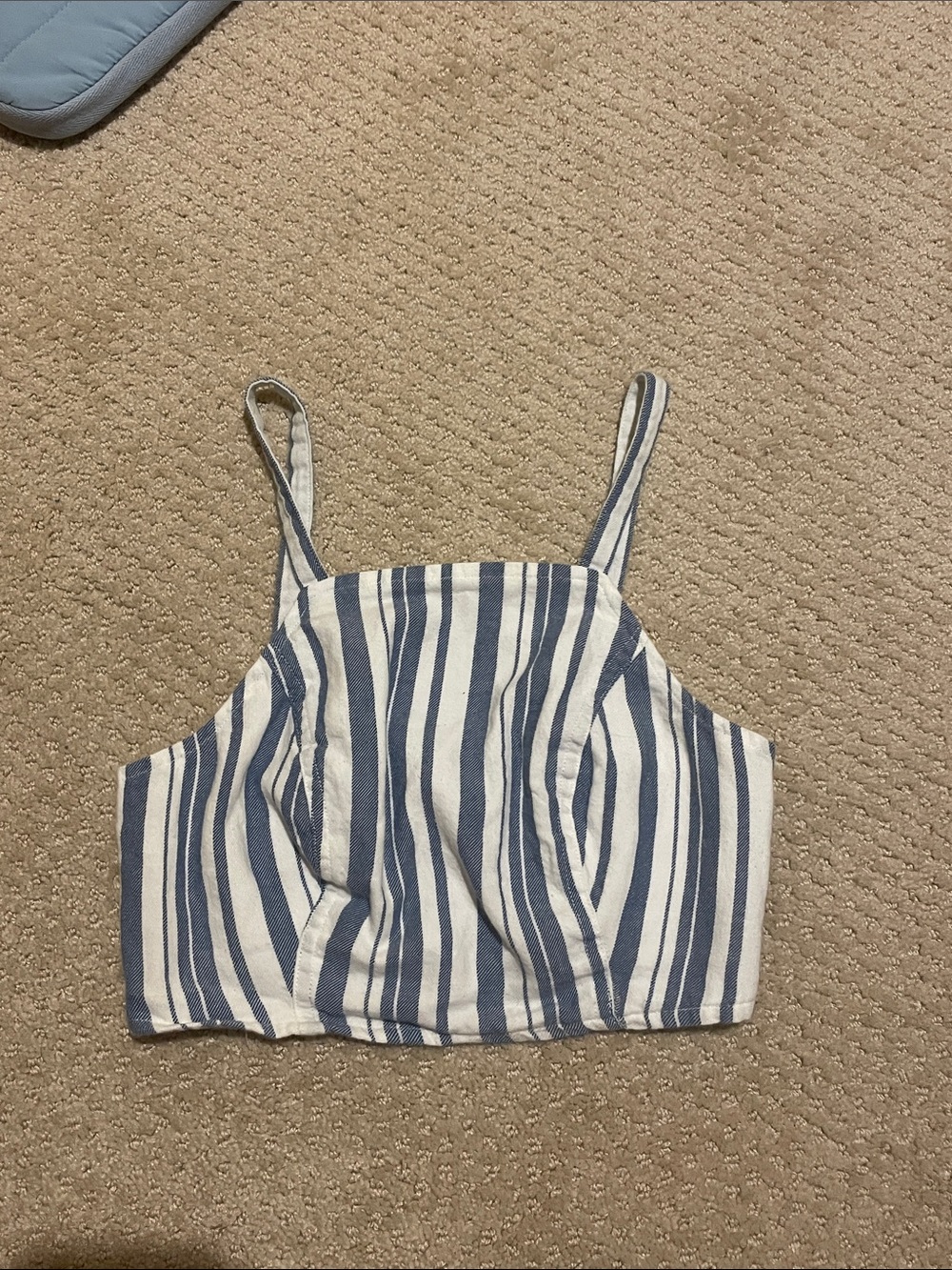American Eagle Outfitters Blue and White Striped Cropped Tank